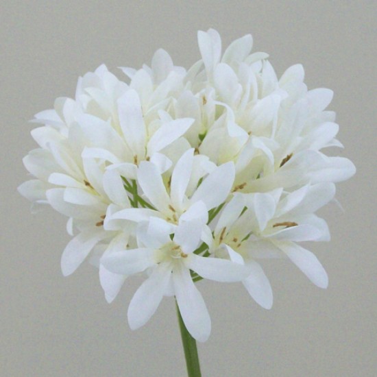 Agapanthus Cream Artificial Flowers